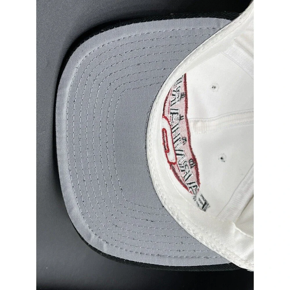 VTG 1996 Nutmeg Mills Chase Authentic Dale Earnhardt 3 NASCAR White Baseball Hat